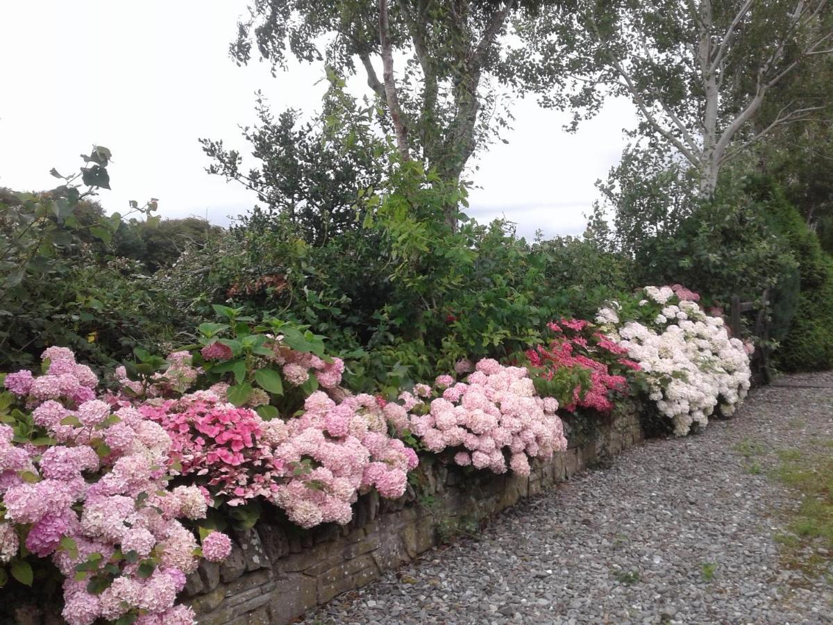 Devenish Lodge B&B Ballinrobe Extérieur photo