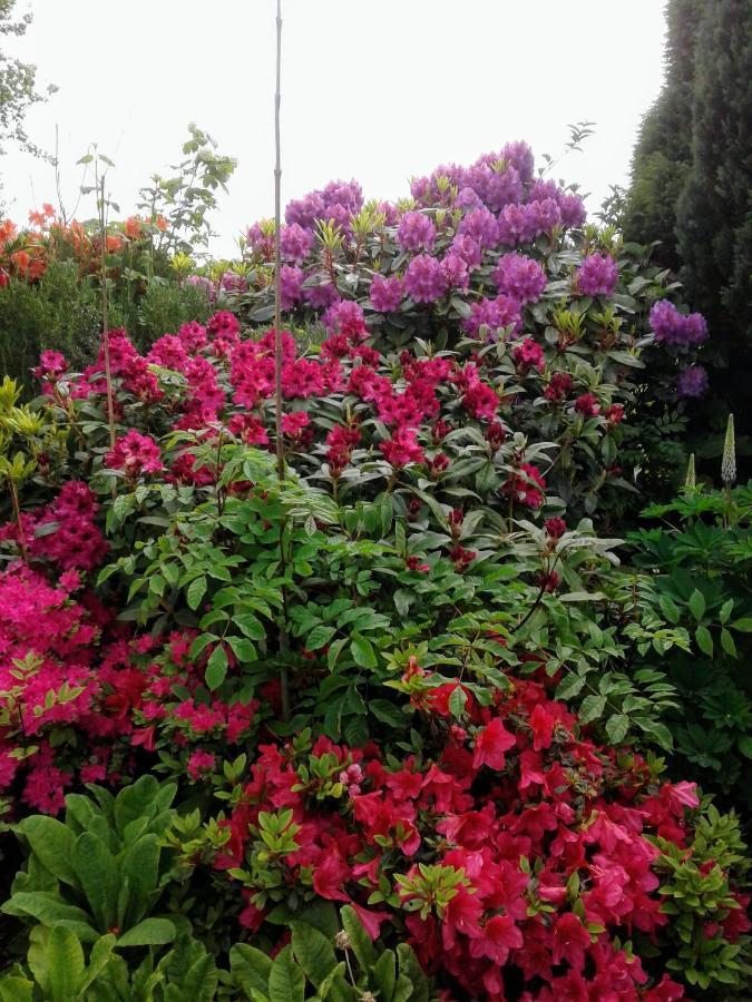 Devenish Lodge B&B Ballinrobe Extérieur photo