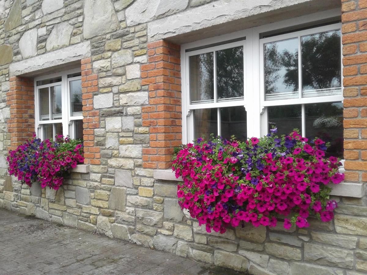 Devenish Lodge B&B Ballinrobe Extérieur photo
