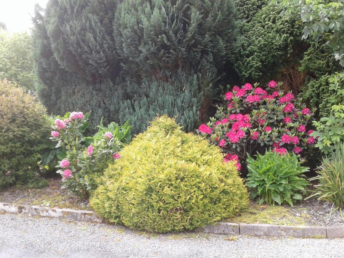 Devenish Lodge B&B Ballinrobe Extérieur photo