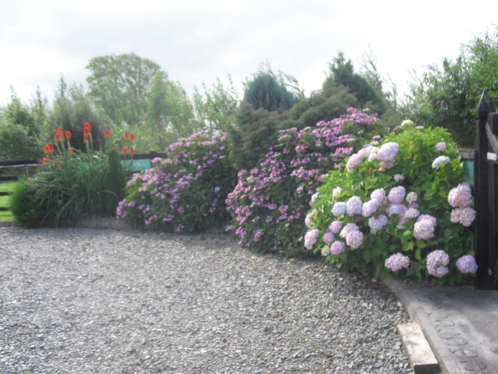 Devenish Lodge B&B Ballinrobe Extérieur photo