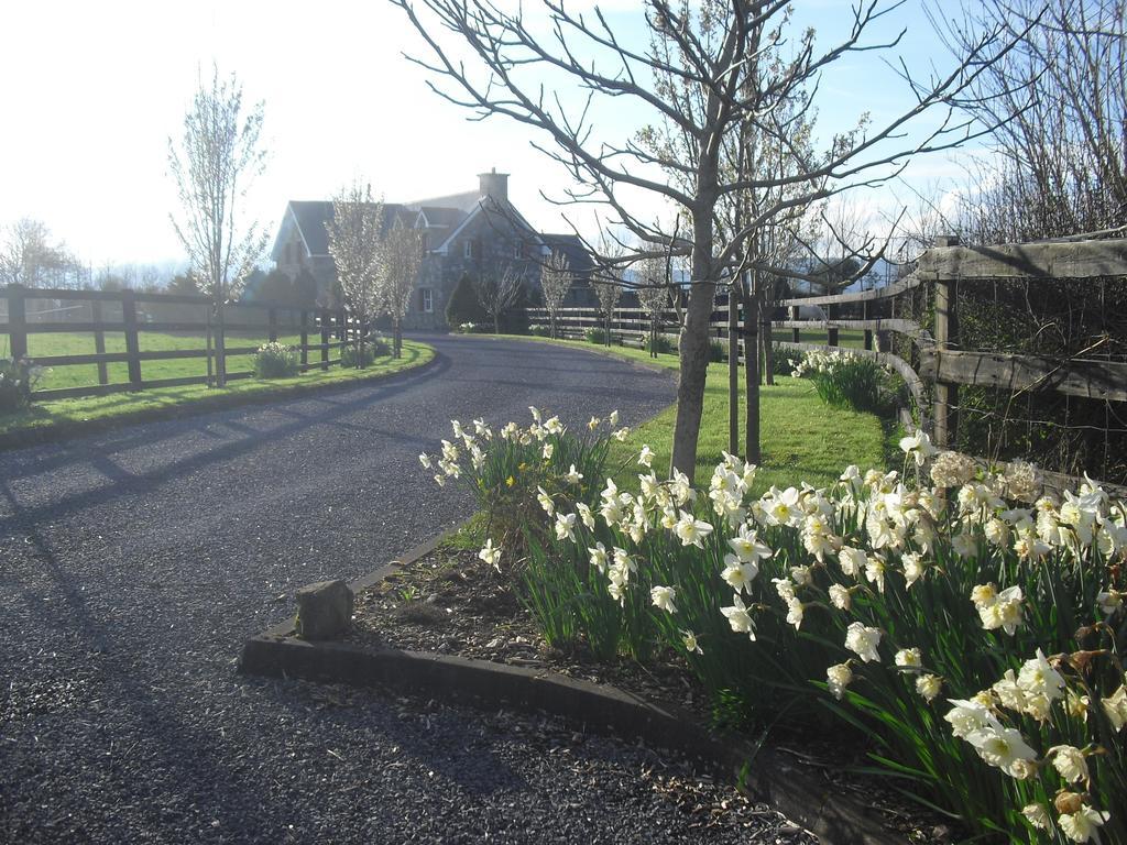 Devenish Lodge B&B Ballinrobe Extérieur photo