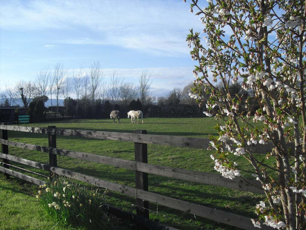 Devenish Lodge B&B Ballinrobe Extérieur photo