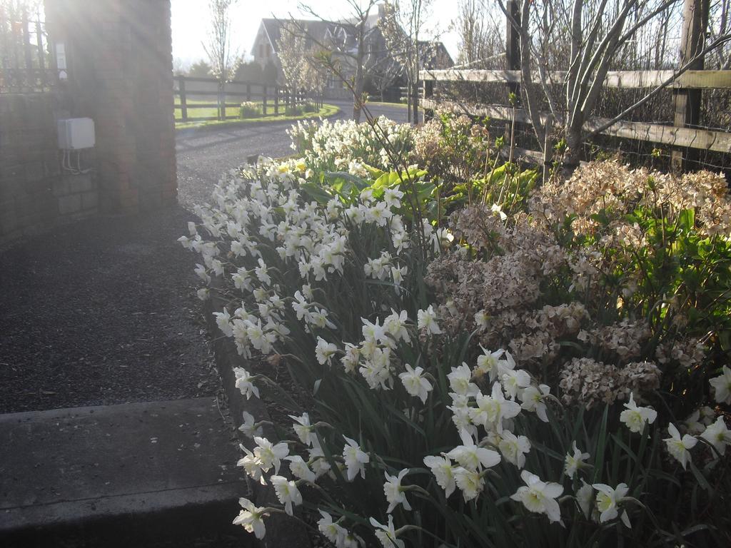 Devenish Lodge B&B Ballinrobe Extérieur photo
